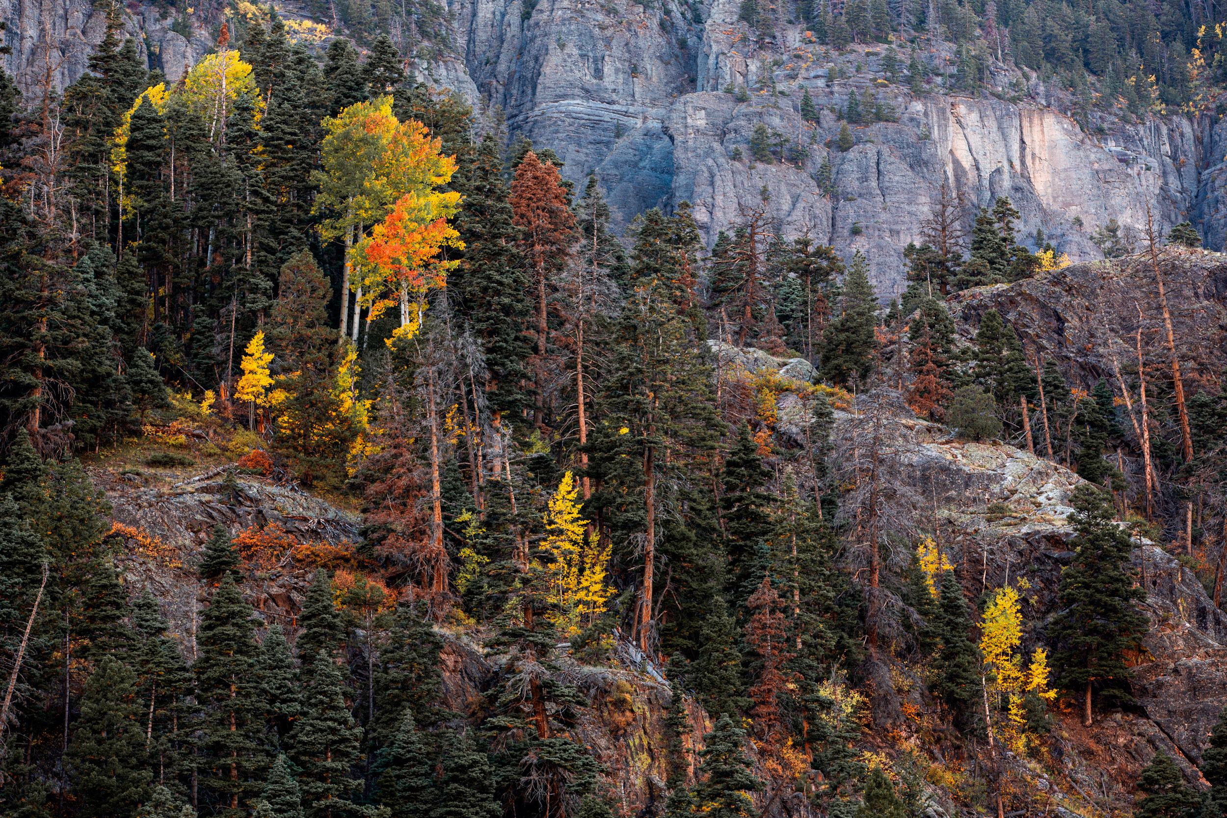 The rocky landscape is punctuated by the brilliant reds, oranges, and yellows in the San Juan mountains