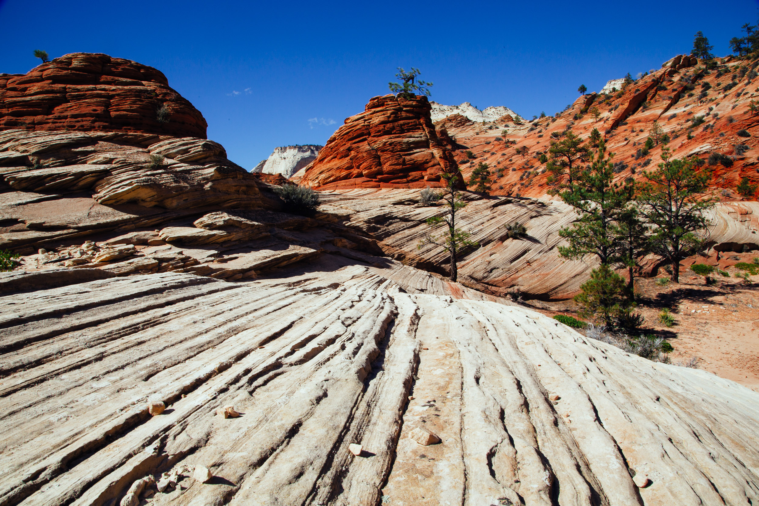 Layers and layers of rock sit atop each other high above Zion Canyon