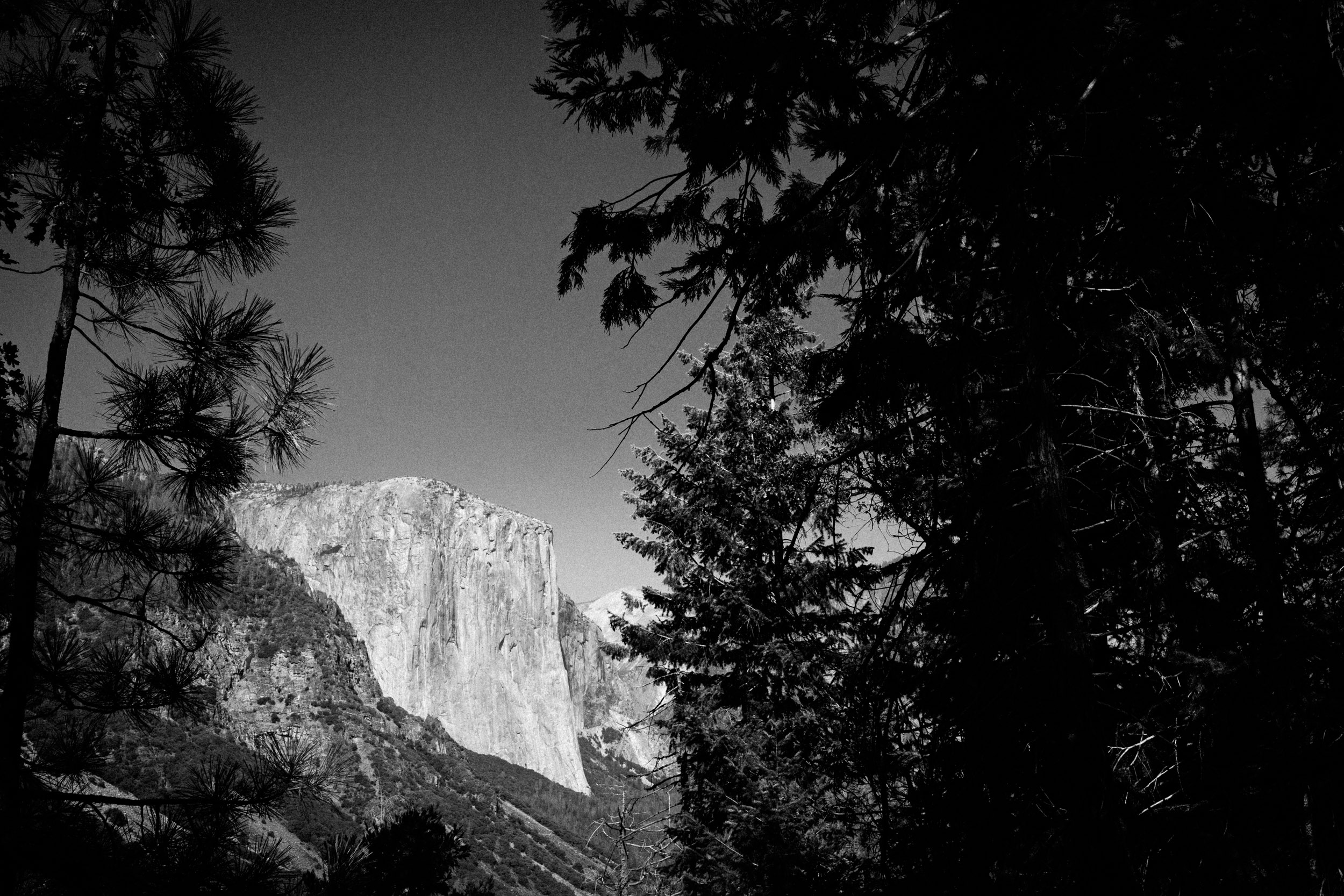 El Capitan flies high above Yosemite Valley floor