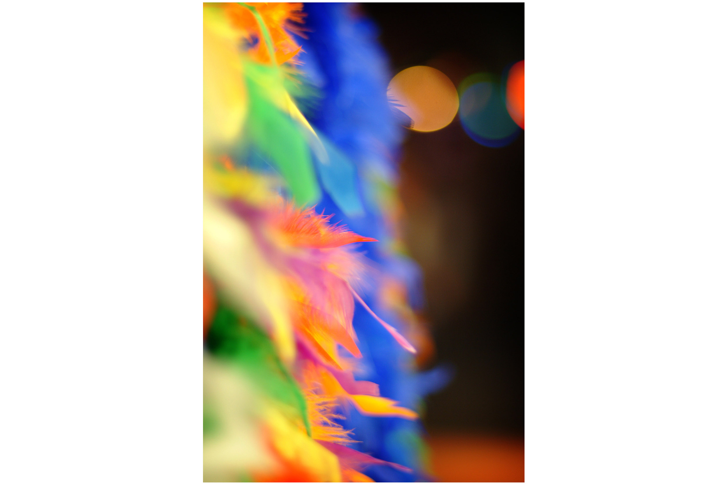 Rainbows, New Orleans-style with colorful feathers