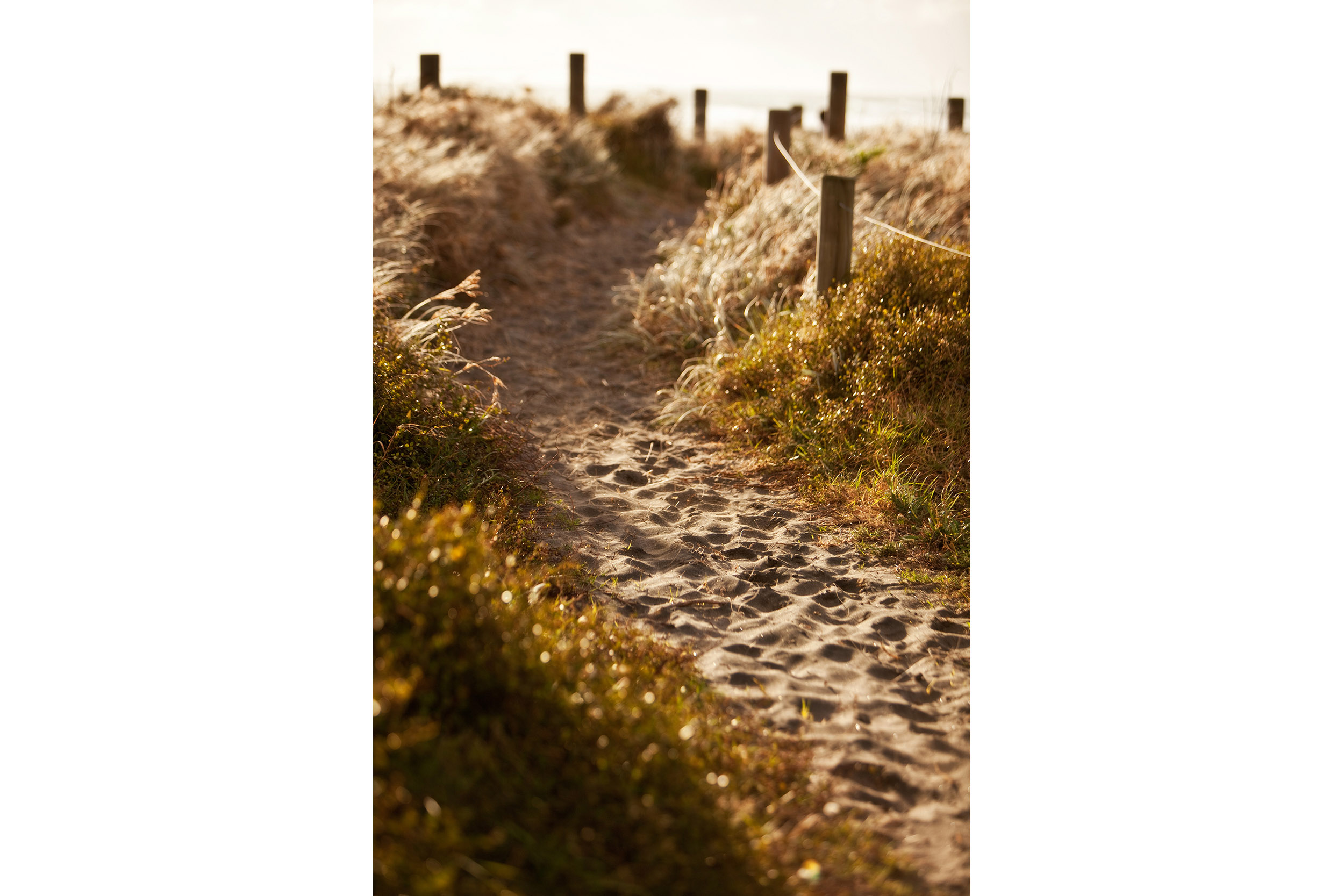 A well-worn sandy path leads the way
