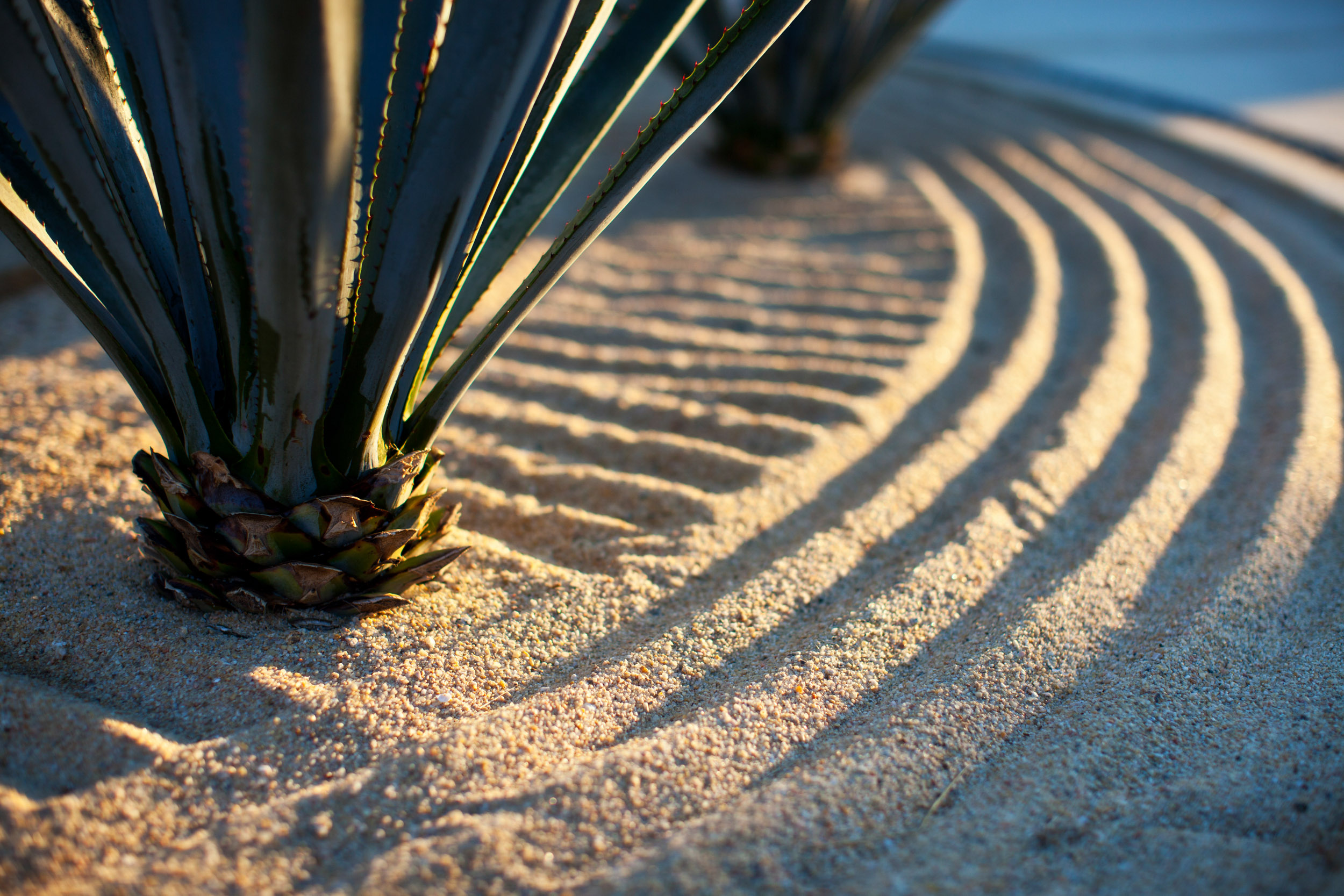 Rows in the sand obey the rake’s orders